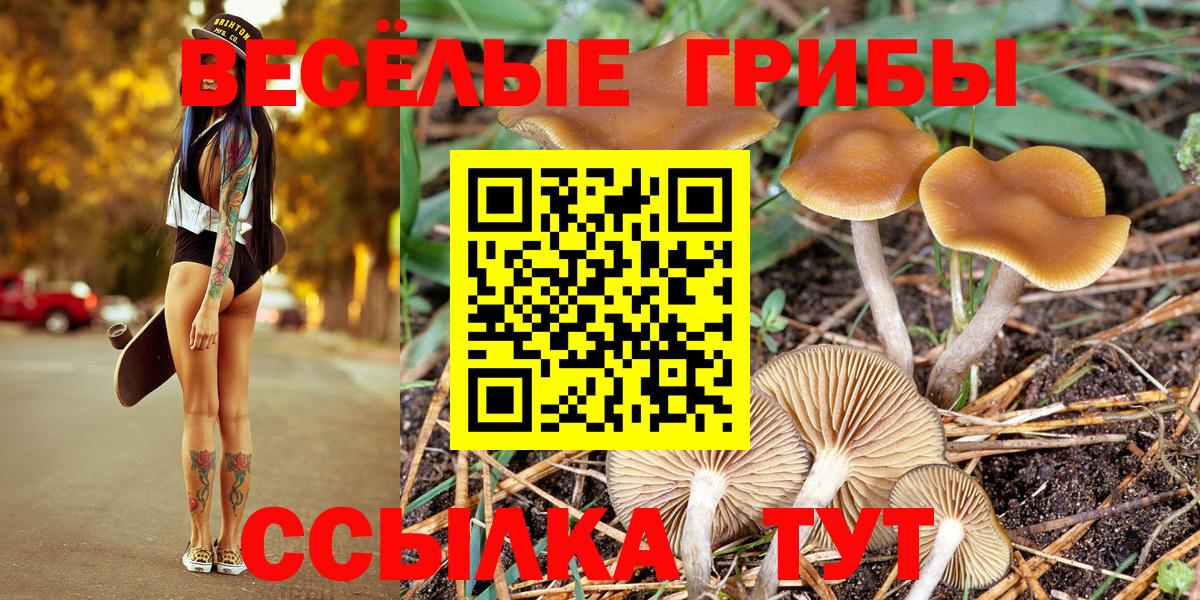 Борисоглебск  Псилоцибиновые грибы Magic Shrooms  Вход с VPN  Псилоцибиновые грибы Psilocybine cubensis 